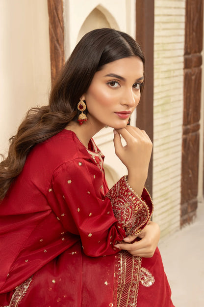 Woman in a red traditional outfit with intricate designs, posing indoors.